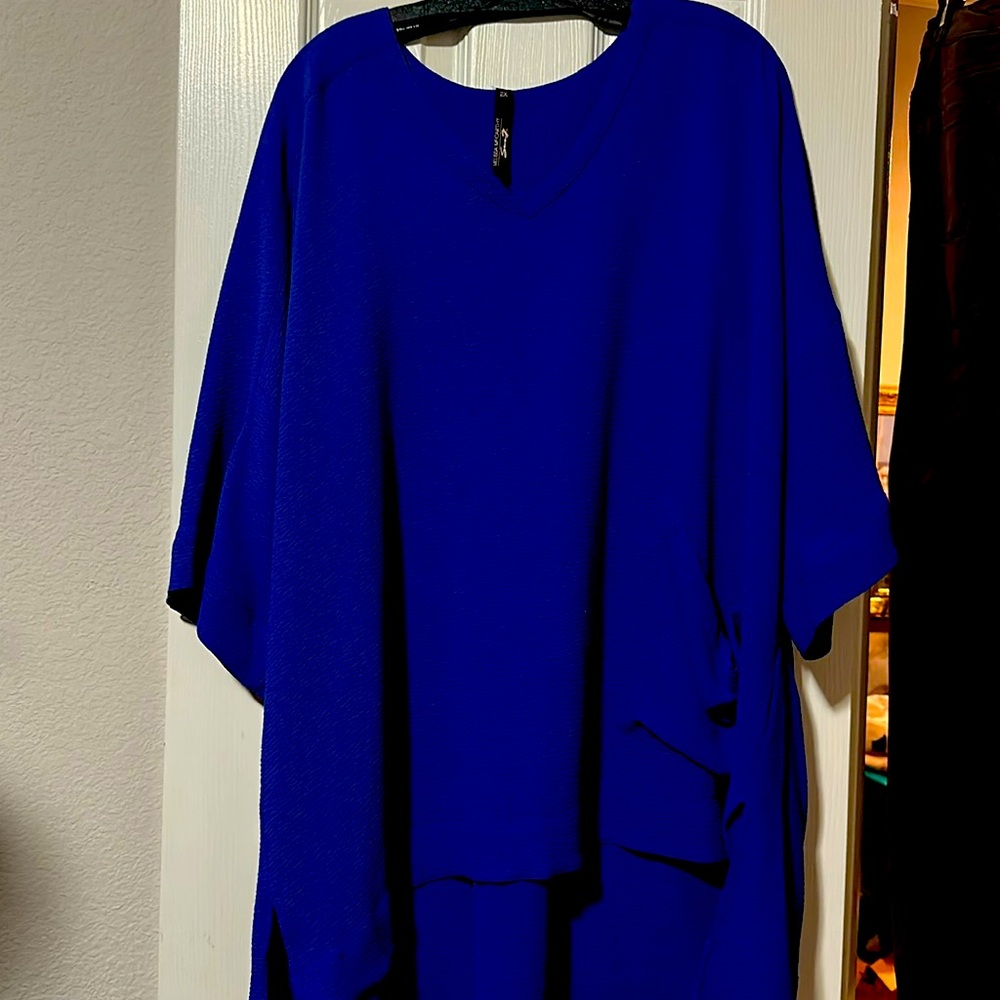 Melissa McCarthy V-neck Polyester Women’s 2X Blouse